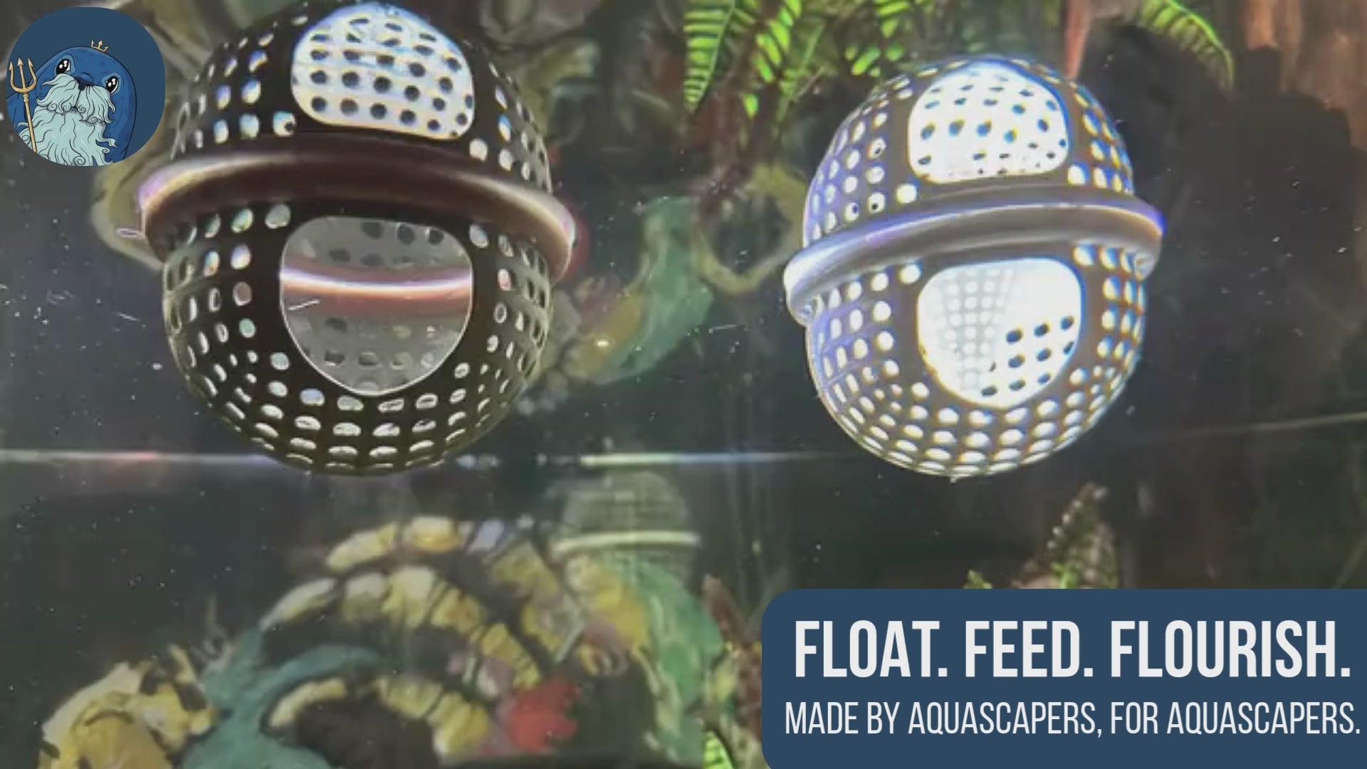 BettaPod Floating Betta Aquarium Hide Log with Feeder Insert