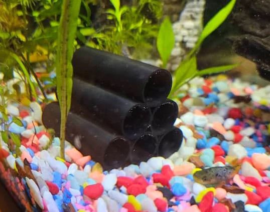 Shrimp Hides in 3 Styles - Blubber Cove