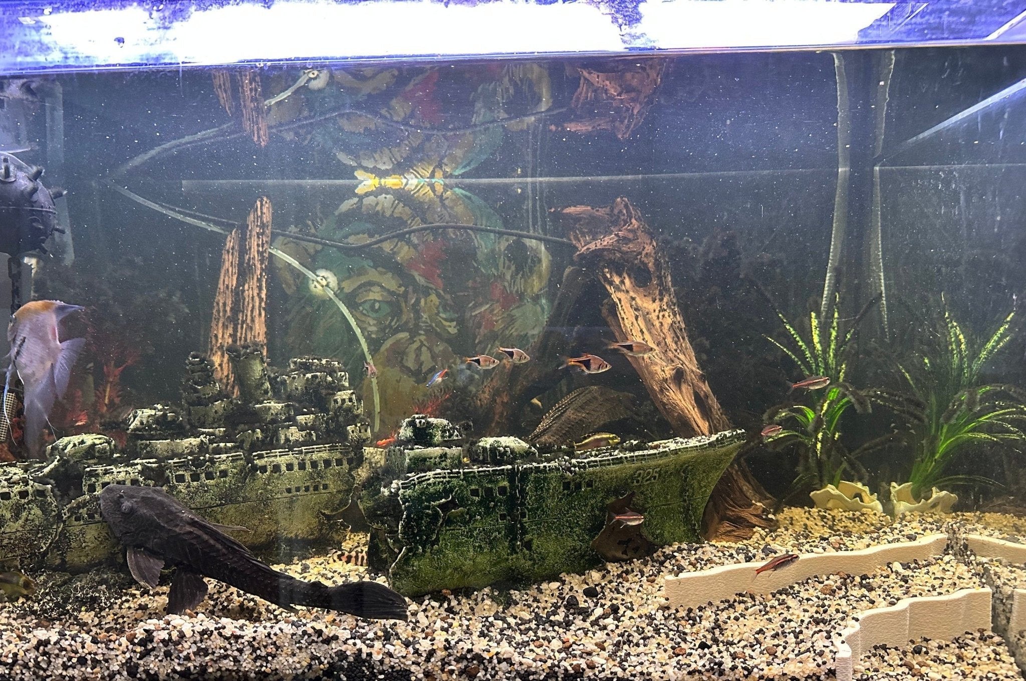 Bundle outlet for Fishtank