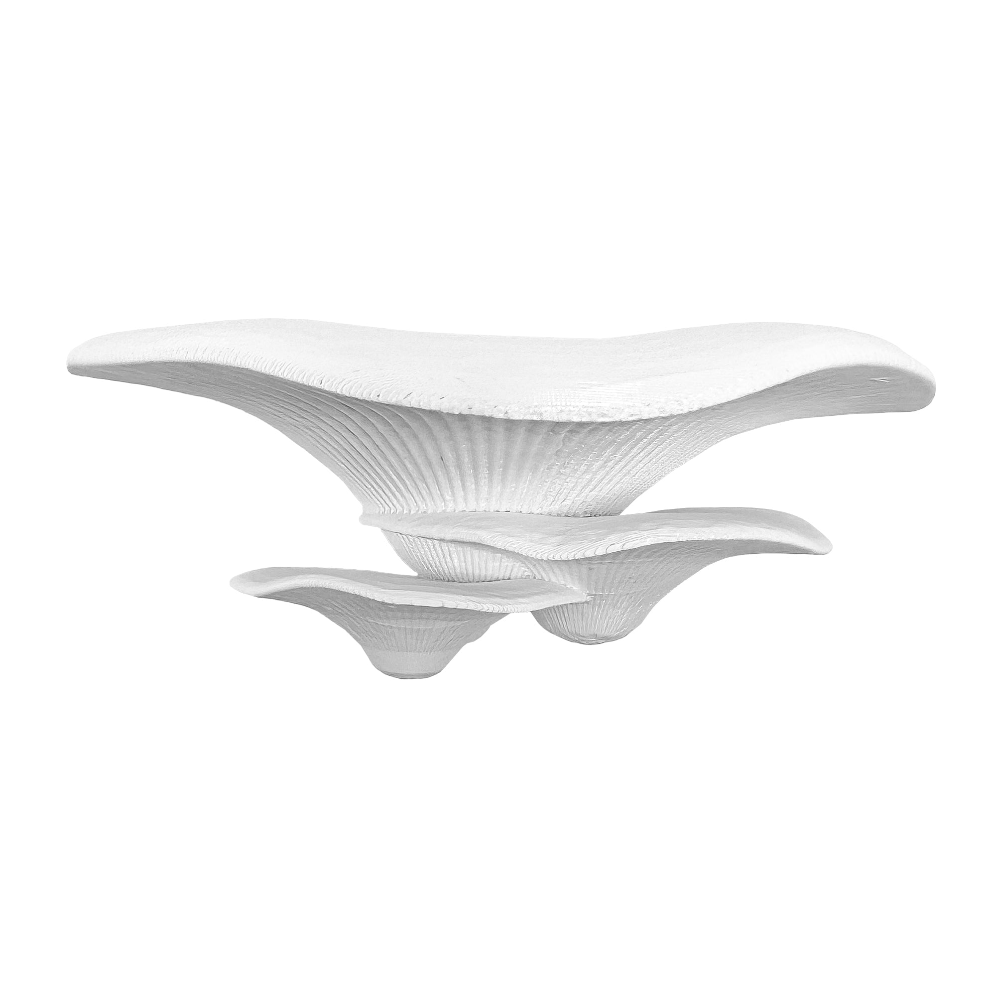 Floating mushroom ledge for bettas, shrimp, and reptiles. Attaches with suction cups. Perfect for aquascaping or amphibian rest spots.